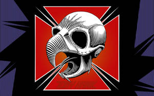 Tony Hawk Birdman Lakai Logo Wallpaper