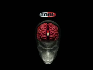 Tool Pill Head Art Wallpaper