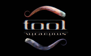 Tool Vicarious Song Wallpaper