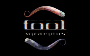 Tool Vicarious Song Wallpaper
