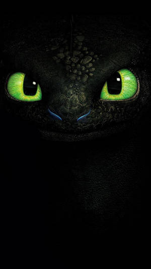 Toothless With Cool Green Eyes Wallpaper