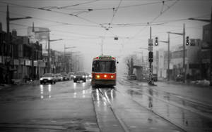 Toronto Bus In A Grayish Setting Wallpaper