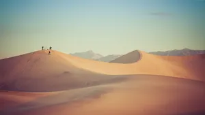 Tourist On Desert Wallpaper