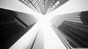 Towering Buildings Dark Gray Wallpaper