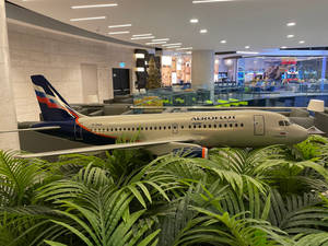 Toy Aeroflot Airplane Wallpaper