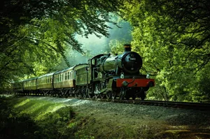 Train Passing Through A Forest Wallpaper