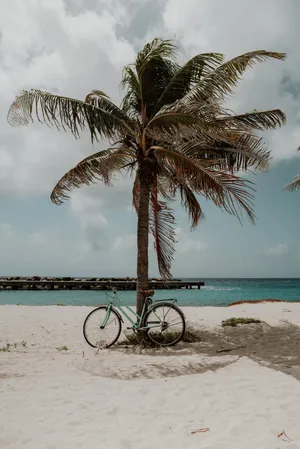 Tranquil Aesthetic Beach View Wallpaper