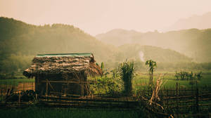 Tranquil Dawn In A Foggy Vietnamese Farmland Wallpaper