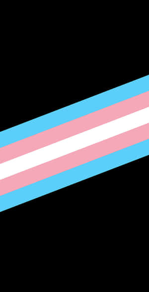 Transgender Thick Diagonal Lines Wallpaper