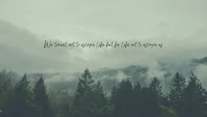 Travel To Escape Quote Sage Green Desktop Wallpaper