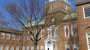 Tree By Baker-berry Library Dartmouth College Wallpaper