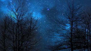 Trees And Night Sky Wallpaper