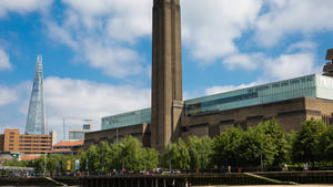 Trees In Front Tate Modern Wallpaper