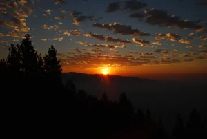 Trees Mountain Horizon Sunrise Wallpaper