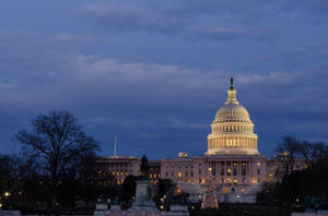 Trees Silhouettes United States Capitol Wallpaper