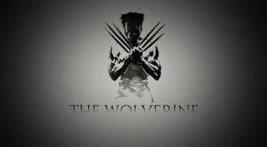Trending Aesthetic Marvel Hero Wolverine Wallpaper
