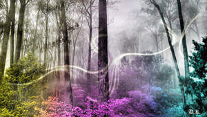 Tri-colored Enchanted Forest Wallpaper