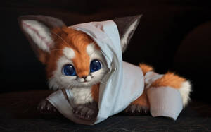 Tricolored Baby Fox Wallpaper