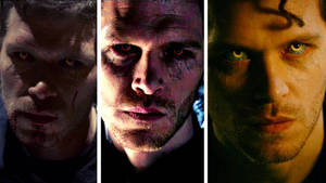 Triple Klaus Mikaelson Wallpaper