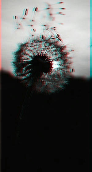 Trippy Dark Aesthetic Dandelion Wallpaper