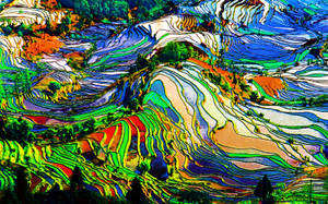 Trippy Landscape Abstract Art Wallpaper