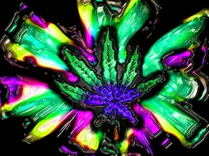 Trippy Weed Art Wallpaper