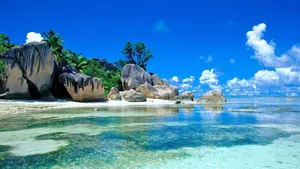Tropical Beach Cool Colors Wallpaper
