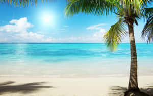 Tropical Beach Scene Summer Day Wallpaper