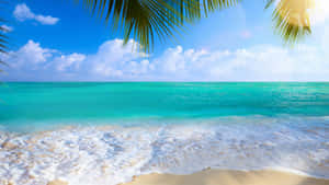 Tropical Beach Scene Waves Summer Wallpaper