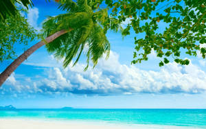 Tropical Beach Vibrant Colors Cloudy Wallpaper