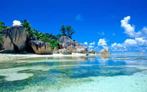 Tropical Beach Water Sunny Day Wallpaper