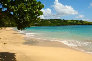 Tropical Beach With Blue Sea Wallpaper