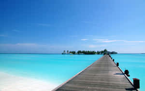 Tropical Island Jetty Wallpaper