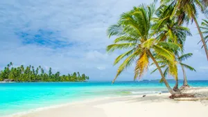 Tropical Island Retreat Wallpaper