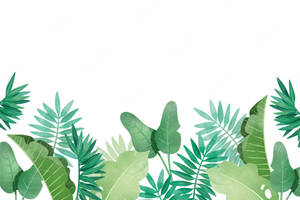 Tropical Plants And Leaves Vector Art Wallpaper