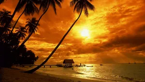 Tropical Sunset Wallpaper