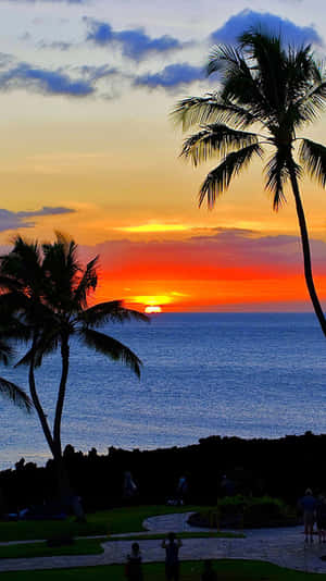 Tropical Sunset Vacation Resort Wallpaper