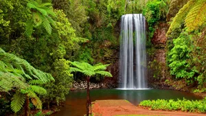 Tropical Waterfall Hd Wallpaper