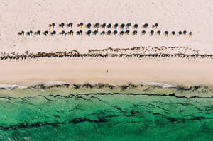 Tunisian Under Beach Umbrellas Wallpaper