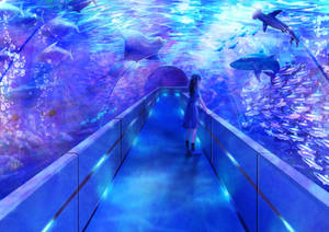 Tunnel Aquarium Digital Art Wallpaper