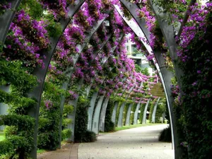 Tunnel Of Nature Flower Wallpaper