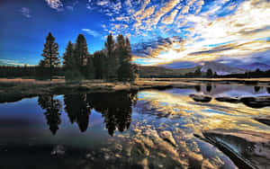 Tuolumne River Nature Photography Wallpaper