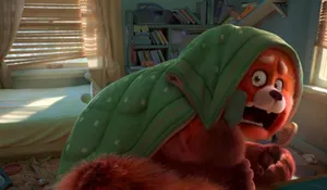 Turning Red Panda Hiding Under Blanket Wallpaper