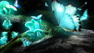 Turquoise Night Butterfly And Mushrooms Wallpaper