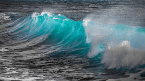 Turquoise Ocean Wave Wallpaper