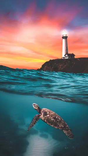 Turtle With Lighthouse Wallpaper