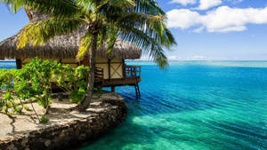 Tuvalu Cabana By The Sea Wallpaper