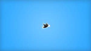 Twitter Bird Minimalist Wallpaper