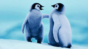 Two Baby Penguins Wallpaper
