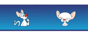 Two Characters Of Cerebral Pinky And The Brain Wallpaper